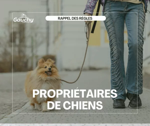 Règles - Propriétaires de chiens